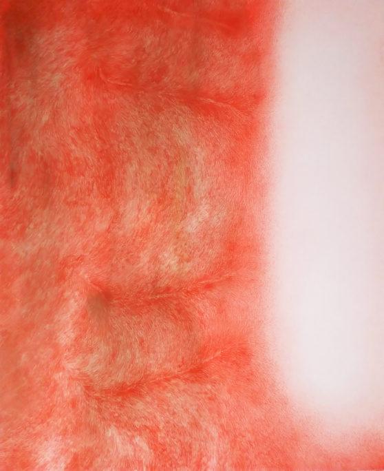 L'artiste japonaise Naoko Sekine, Galerie Pierre-Yves Caër, Paris