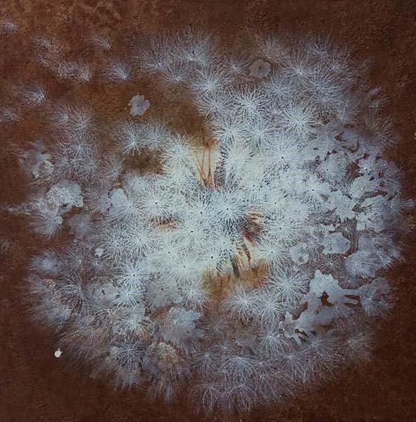 Korean artist Sook Shin at Galerie Impressions Paris